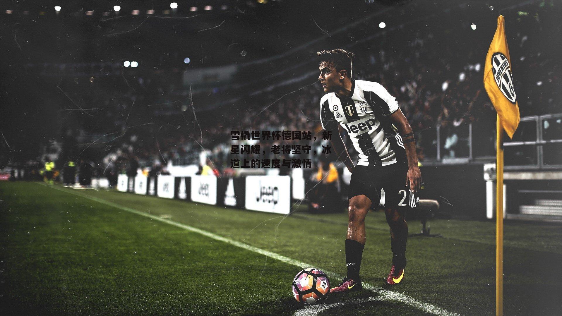 雪橇世界杯德国站，新星闪耀，老将坚守，冰道上的速度与激情